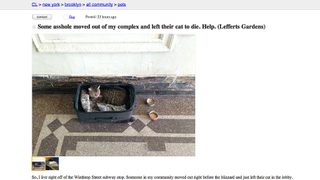 Terrible, Horrible, Very Bad Person Abandons Cat in 5°F Weather